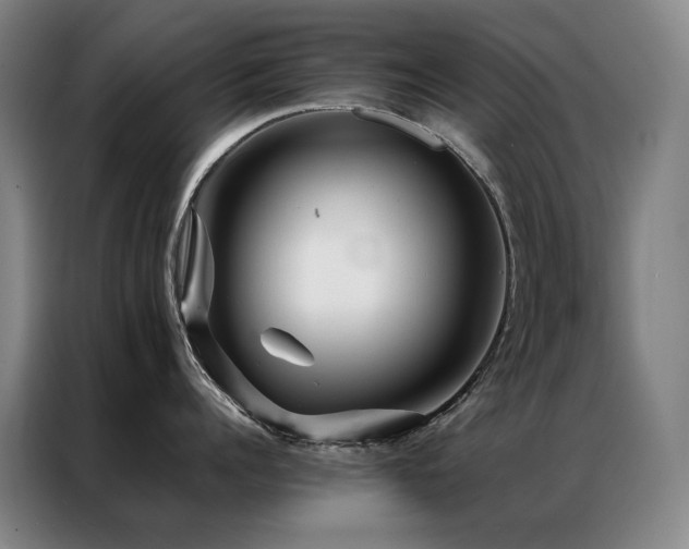 X0000087370960200704201225