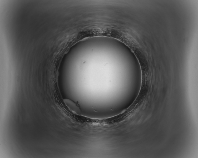 X0000087370961200704201225