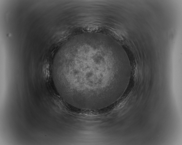 X0000087370962200704201225