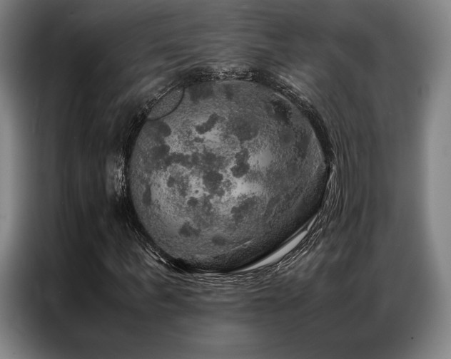 X0000087370963200704201225