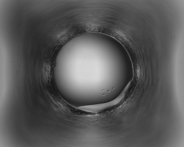 X0000087370964200704201225