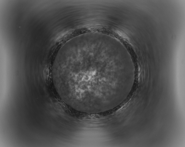 X0000087370966200704201225