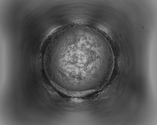 X0000087370968200704201225