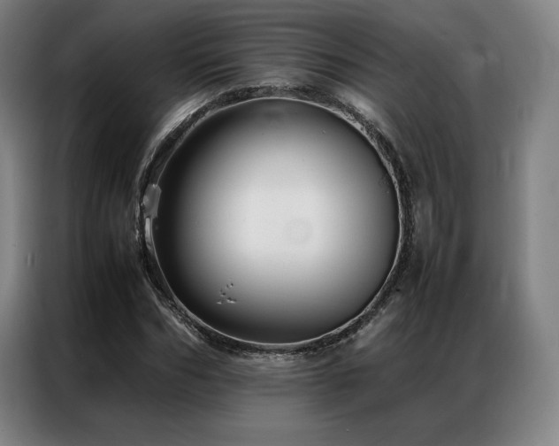 X0000087370970200704201225