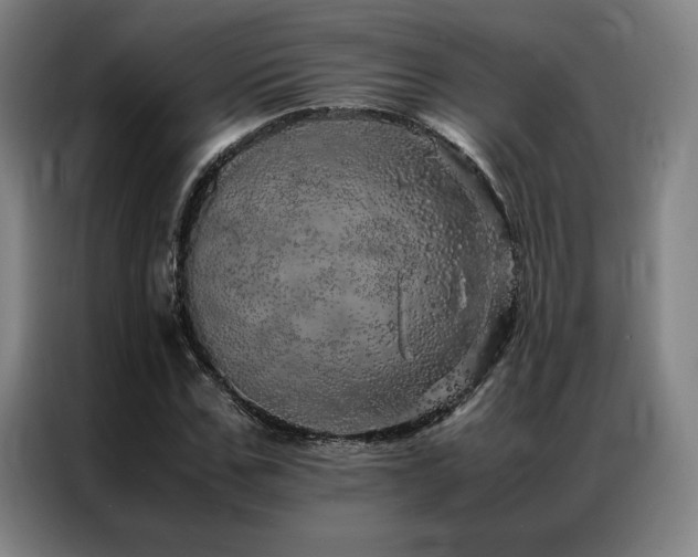 X0000087370971200704201225