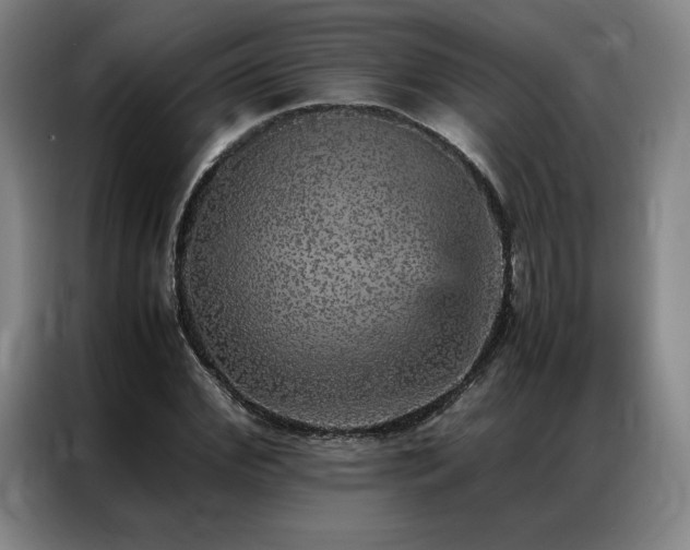 X0000087370972200704201225