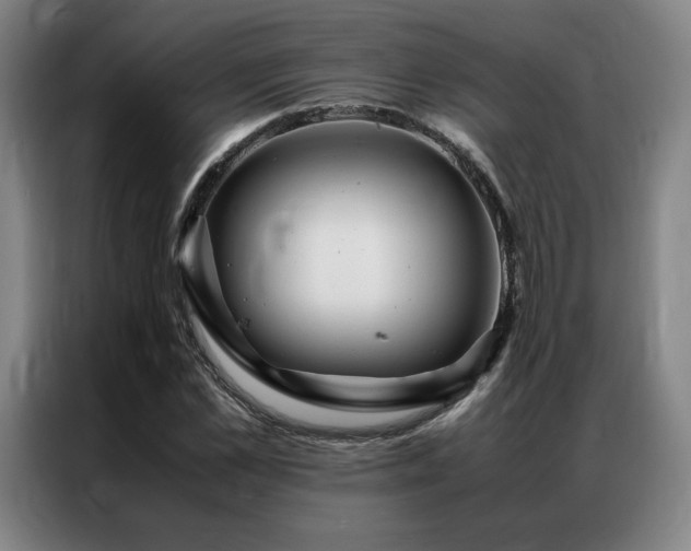 X0000087370973200704201225