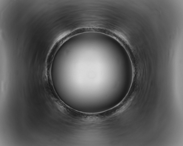 X0000087370974200704201225