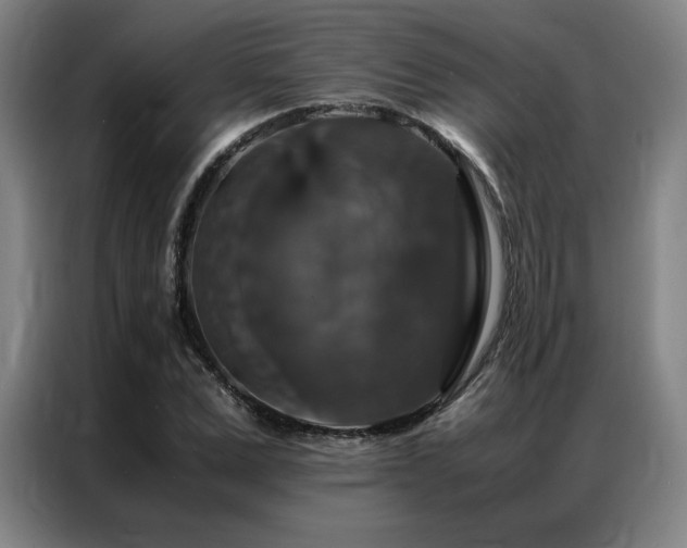 X0000087370975200704201225