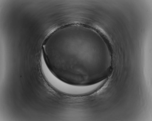 X0000087370977200704201225