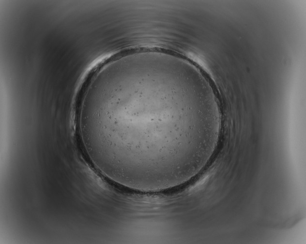 X0000087370979200704201225