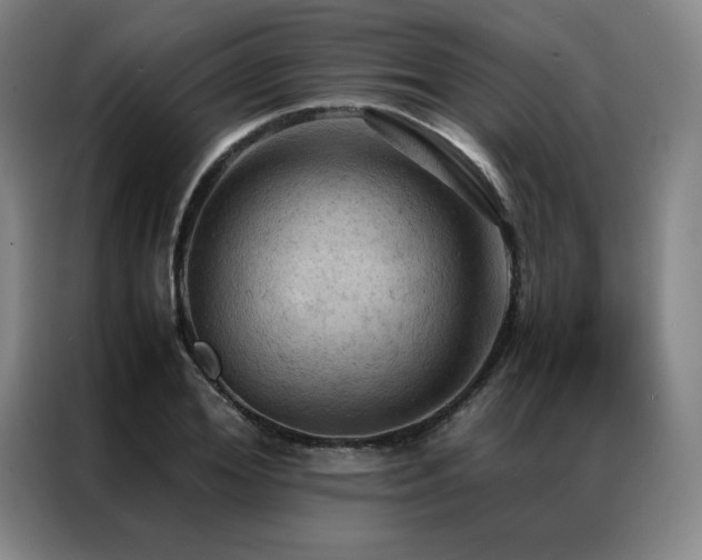 X0000087370980200704201225