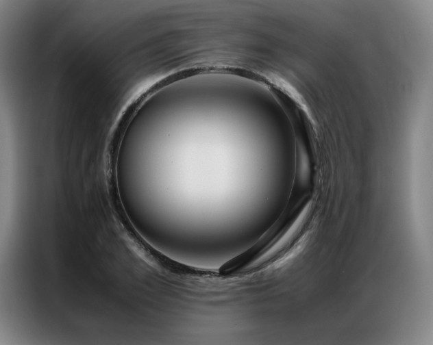 X0000087370981200704201225