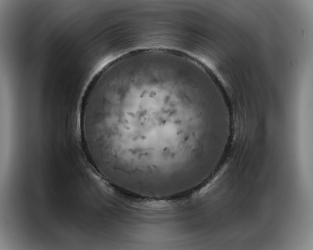X0000087370982200704201225