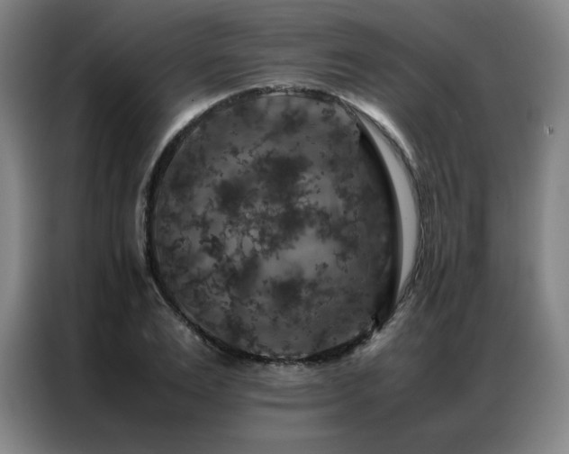 X0000087370983200704201225