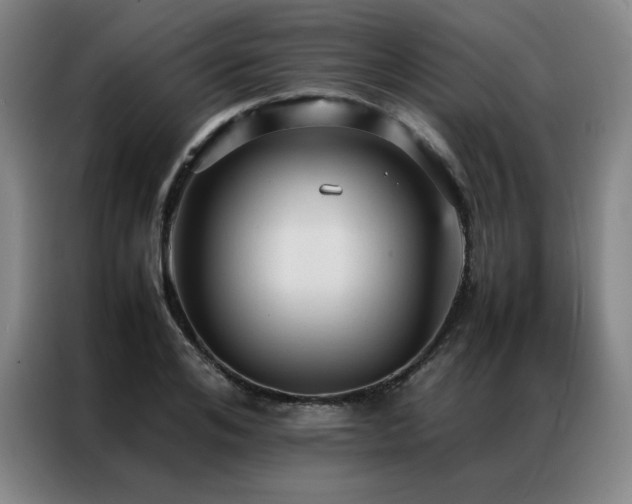X0000087370984200704201225