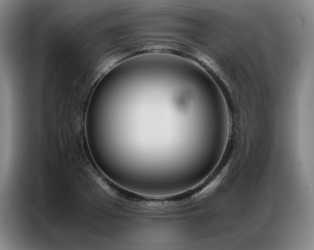 X0000087370985200704201225