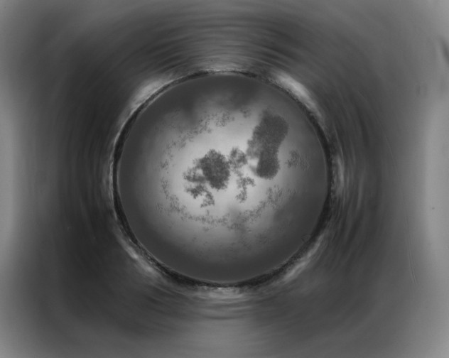 X0000087370986200704201225