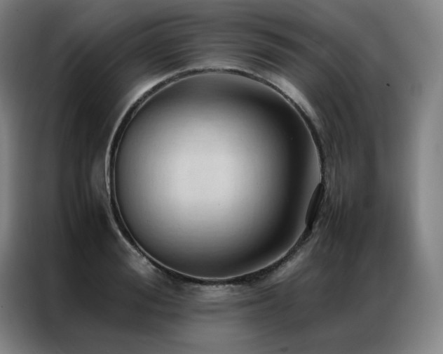 X0000087370988200704201225