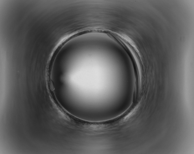 X0000087370989200704201225
