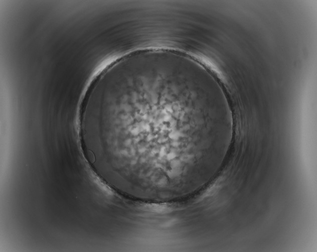 X0000087370990200704201225