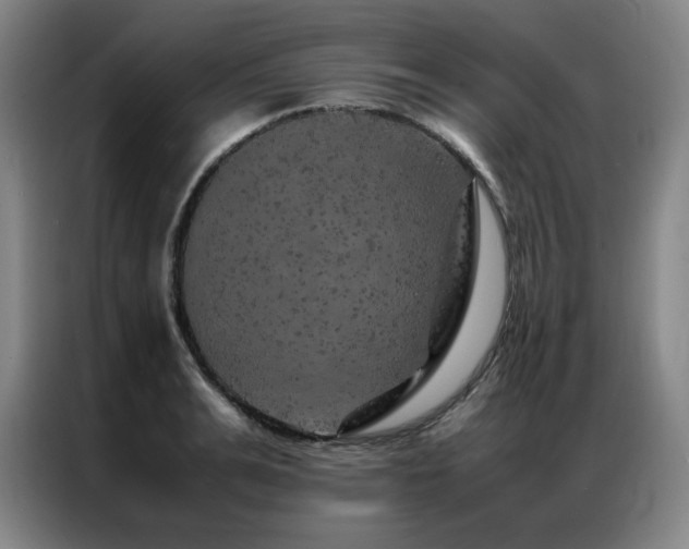 X0000087370991200704201225