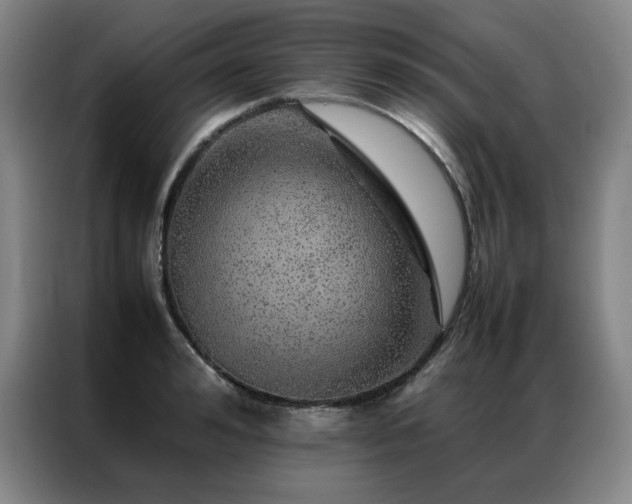 X0000087370992200704201224