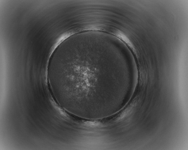 X0000087370994200704201224