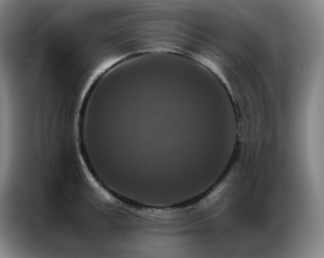 X0000087370995200704201224