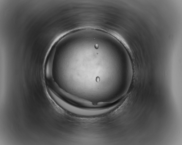 X0000087370996200704201224
