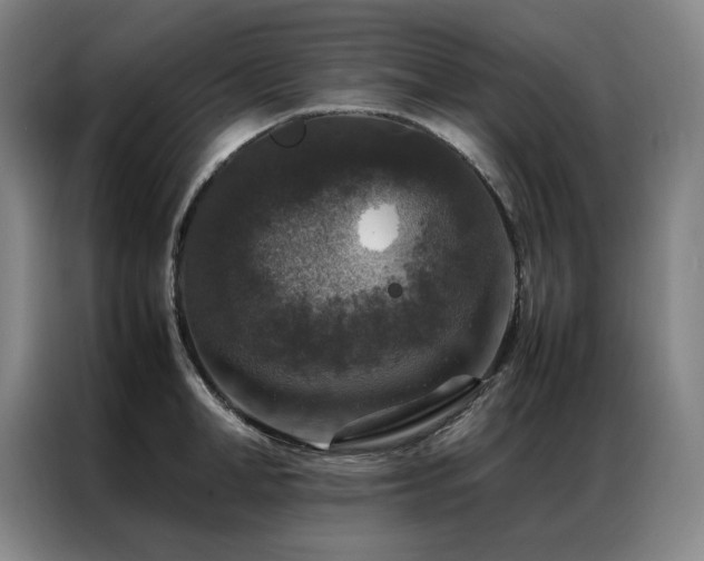 X0000087370998200704201224