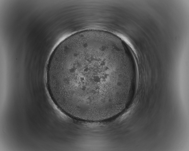 X0000087370999200704201224