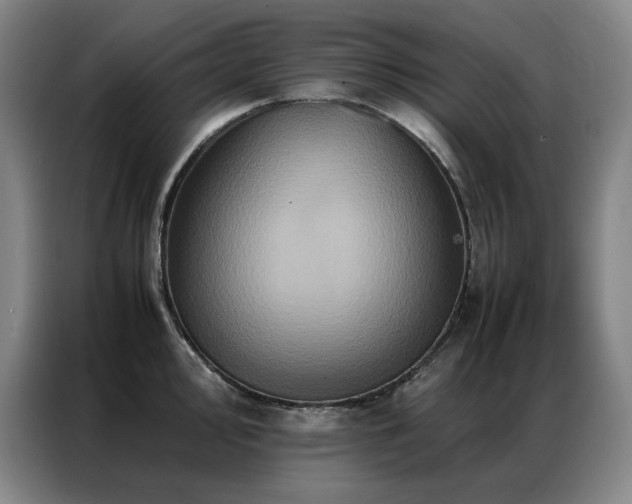 X0000087371000200704201224