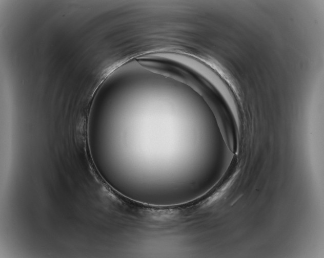 X0000087371001200704201224
