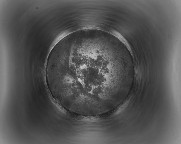 X0000087371002200704201224