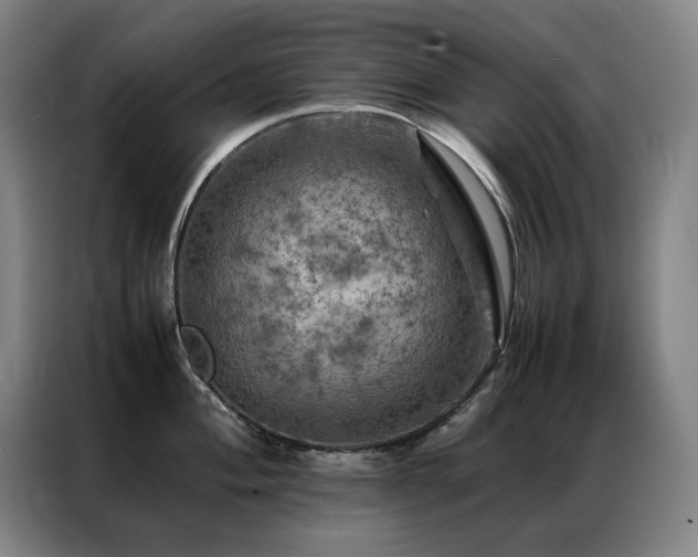 X0000087371004200704201224