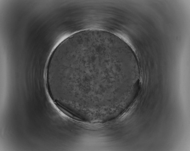 X0000087371007200704201224