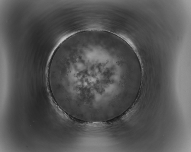 X0000087371008200704201224