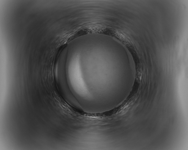 X0000087371010200704201224
