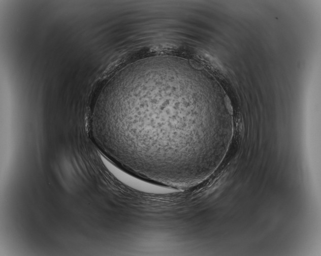 X0000087371012200704201224