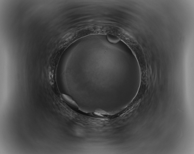X0000087371013200704201224