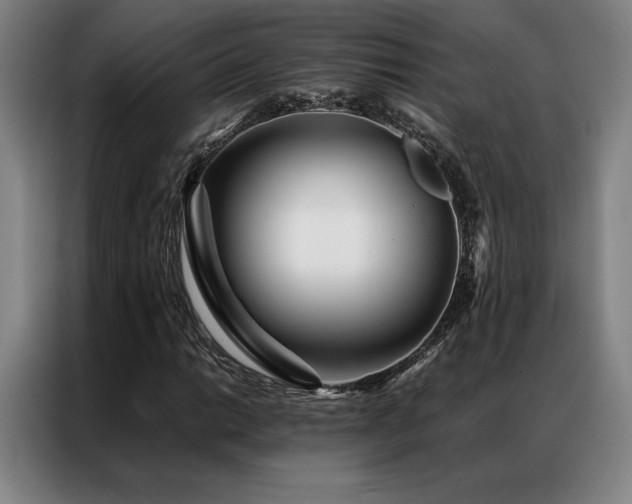 X0000087371014200704201224