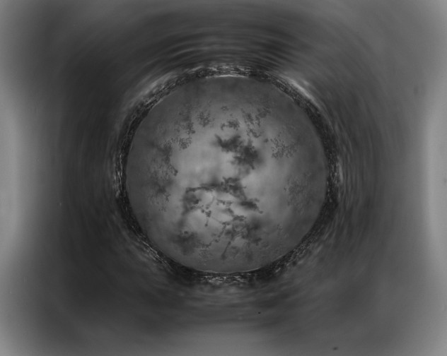 X0000087371015200704201224
