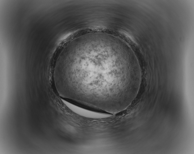 X0000087371016200704201224