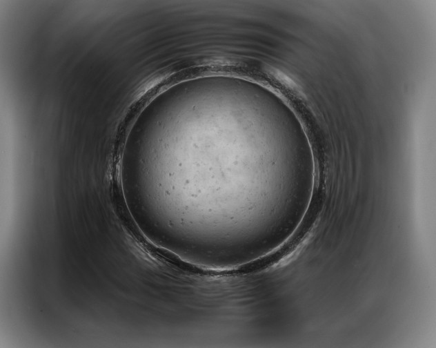 X0000087371017200704201224