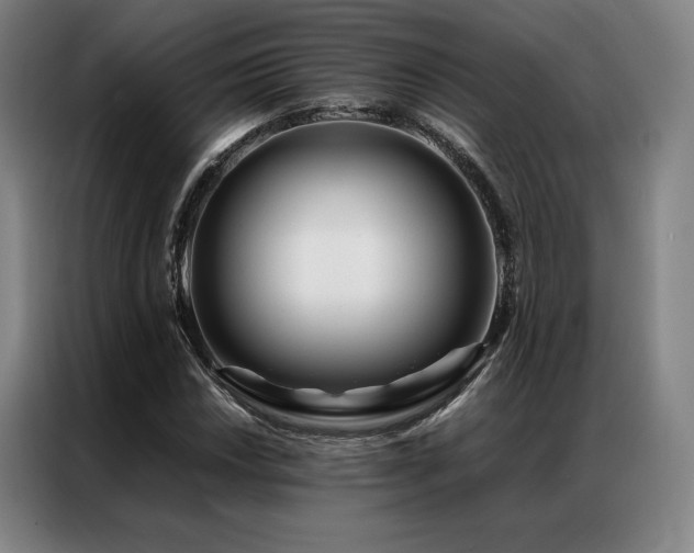 X0000087371018200704201224
