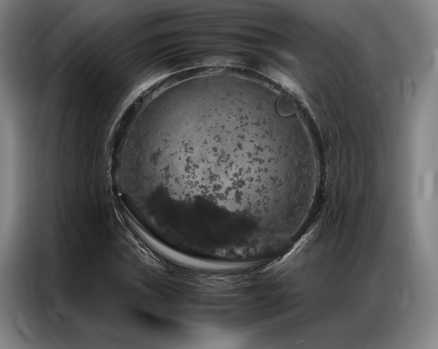 X0000087371019200704201224