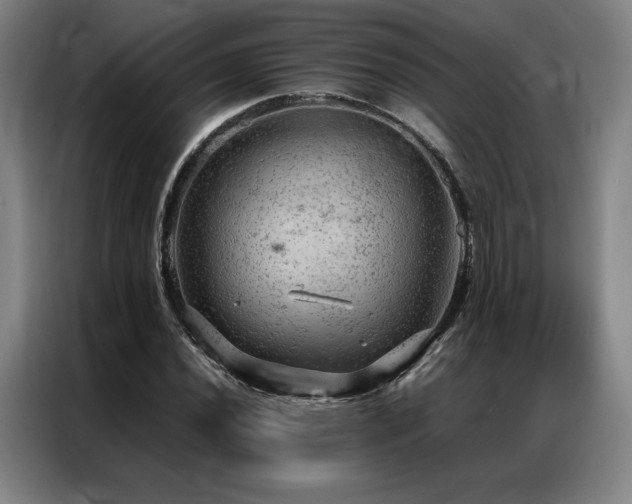 X0000087371020200704201224