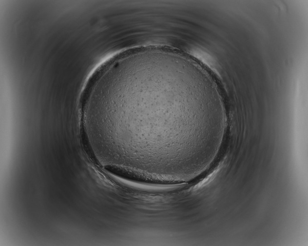 X0000087371021200704201224