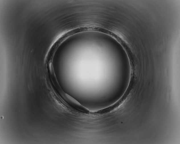 X0000087371022200704201224